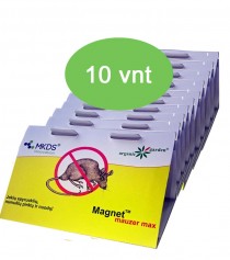 MAGNET mauzer MAX - lipni pelių ir žiurkių monitoringo gaudyklė, MAXI pakuotė (kaina nurodyta 1 vnt.)